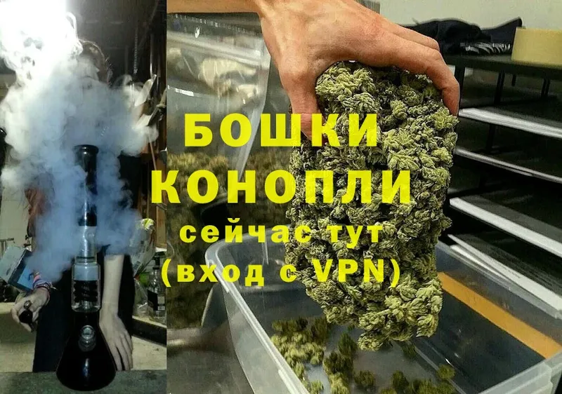 дарнет шоп  Североморск  Бошки Шишки THC 21% 